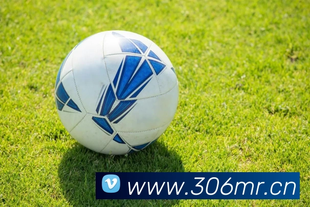 emc体育地址服务体系